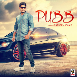 Listen to Pubb song with lyrics from Parveen Johar