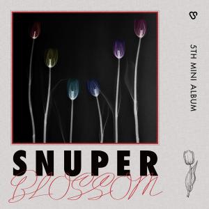 收听SNUPER(스누퍼)的Tulips (튤립)歌词歌曲