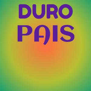 Listen to Plums Summit song with lyrics from Gert Bhey