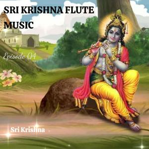 Sri Krishna的专辑Sri Krishna Flute Music | EP 04