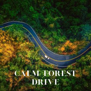 Listen to Fast Lane Highway Sounds song with lyrics from Hi Freq Samples