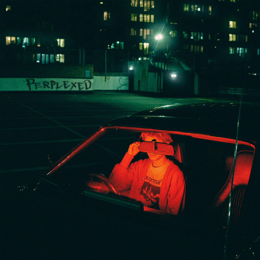 Perplexed (Demo)