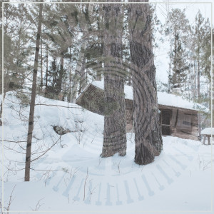 收听Panopticon的Sheep in Wolves Clothing歌词歌曲