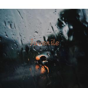 Album Juvenile from 