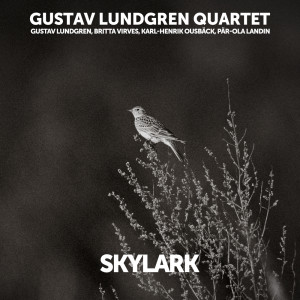 อัลบัม Skylark ศิลปิน Gustav Lundgren