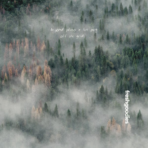 Album off the grid from Beyond Pluto