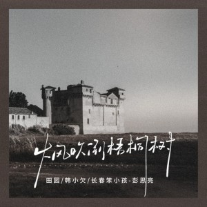 Listen to 大风吹倒梧桐树 song with lyrics from 田园