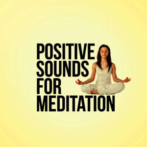收聽Positive Thinking: Music for Meditation的Moonlight Shadows歌詞歌曲