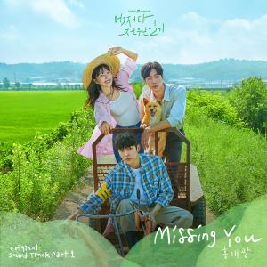 收听Hong Dae Kwang的Missing You歌词歌曲