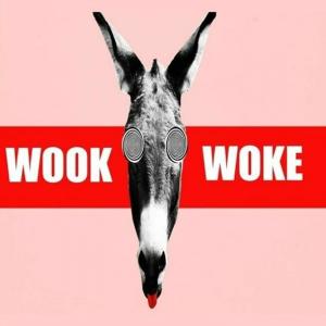 Listen to Wook Woke (Explicit) song with lyrics from Count Trapula