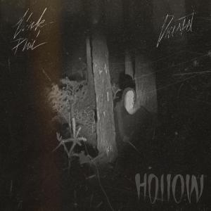 Drisket的專輯Hollow (feat. Drisket) [Explicit]