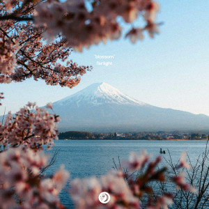 收聽FarLight的Blossom歌詞歌曲