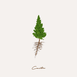 ดาวน์โหลดและฟังเพลง Cuando No Haya Nada พร้อมเนื้อเพลงจาก Castro28002