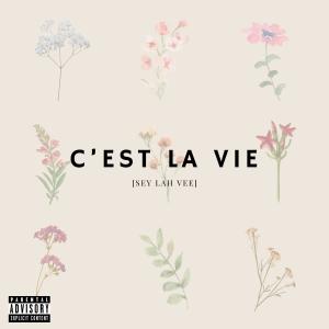 收聽Konfuzed的C'EST LA VIE歌詞歌曲