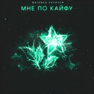 Listen to Мне по кайфу song with lyrics from Магамед Халилов