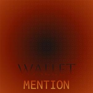 Listen to Wallet Mention song with lyrics from Tysen Cerg