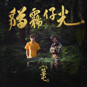 Listen to 厌世少年兄 ft. 玖壹壹 春风 song with lyrics from 草屯囝仔