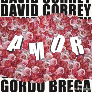 收聽David Correy的Amor歌詞歌曲