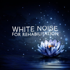 ดาวน์โหลดและฟังเพลง Meadow Song พร้อมเนื้อเพลงจาก White Noise for Meditation: Relaxation and Rehabilitation.
