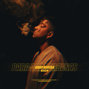Listen to Para Qué Regresas song with lyrics from Andy Rivera