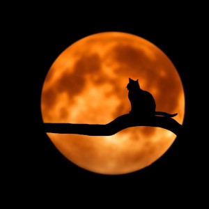Listen to Music for Relaxation song with lyrics from Deep Sleep