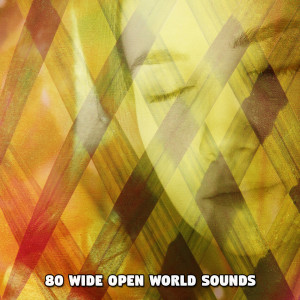 80 Wide Open World Sounds