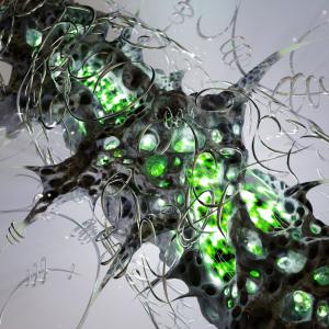 ดาวน์โหลดและฟังเพลง OPHANIM SIGHT พร้อมเนื้อเพลงจาก EPIPHAGI