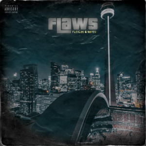 Album Flaws (Explicit) from 