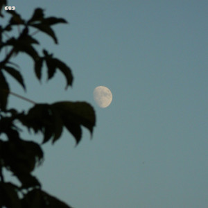 Harmless Night的专辑Where I Go
