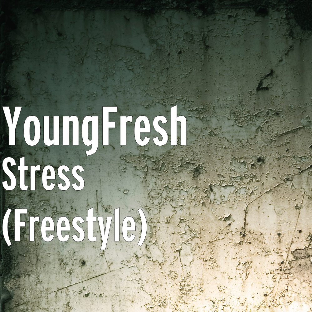 Stress (Freestyle) (Explicit)