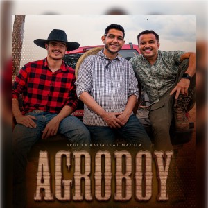 Listen to Agroboy song with lyrics from Bruto e Abeia