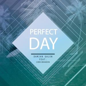 Album Perfect Day from Chris Brandon