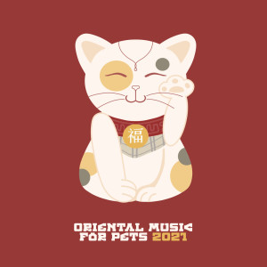 Listen to Music for Dogs Home Alone song with lyrics from Dog Music Oasis