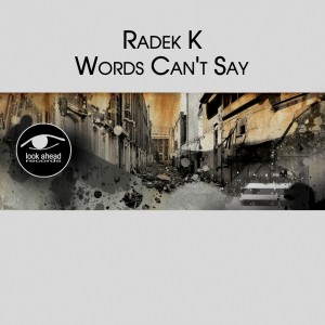 อัลบัม Words Can't Say ศิลปิน Radek K