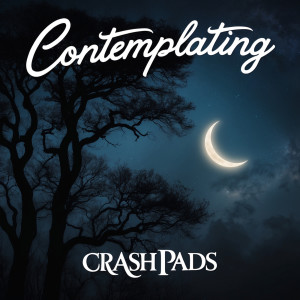 Album Contemplating from 