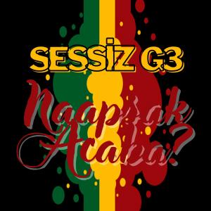 ดาวน์โหลดและฟังเพลง Naapsak Acaba พร้อมเนื้อเพลงจาก Sessiz G3