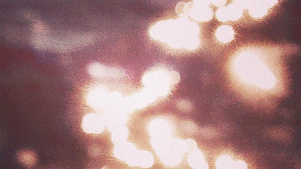 default column 1205x682 img