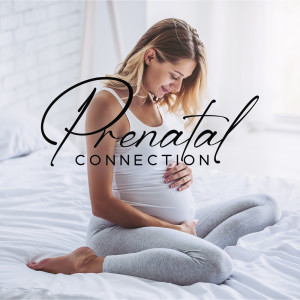 Pregnant Women Music Company的專輯Prenatal Connection (Soothing Music for Calming Baby in the Womb)