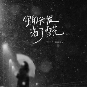 Album 你的头发沾了雪花 from 任二三