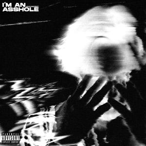ดาวน์โหลดและฟังเพลง I'm An Asshole! (Explicit) พร้อมเนื้อเพลงจาก 404vincent
