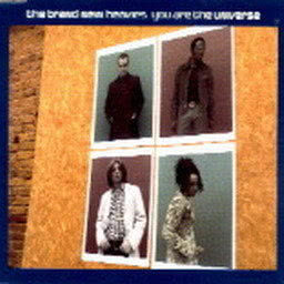 收聽The Brand New Heavies的You Are The Universe (Curtis And Moore's Universal Summer Groove 7")歌詞歌曲
