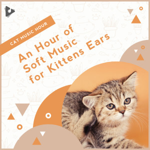 Music for Kittens的專輯An Hour of Soft Music for Kittens Ears