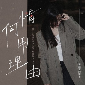Album 情何用理由 from 车厘子的车车