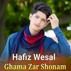 Listen to Shondi Marabazai song with lyrics from Hafiz Wesal