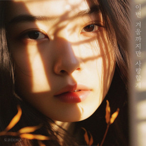 อัลบัม 이번 겨울까지만 사랑할게 (I will love you only until this winter) ศิลปิน DOKO