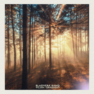 Album Viljan / Ornament from Bladverk Band