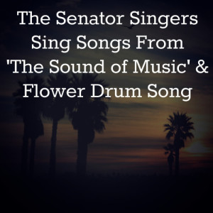 收聽The Senator Singers的Do-Re-Mi歌詞歌曲