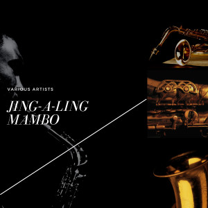 Listen to Jing-A-Ling Mambo song with lyrics from Sonny Burke and His Orchestra