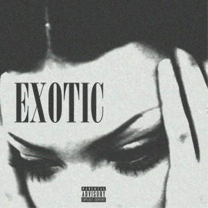 收听outsoar的Exotic (Explicit)歌词歌曲