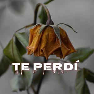 Carlos Ramirez的專輯Te Perdí